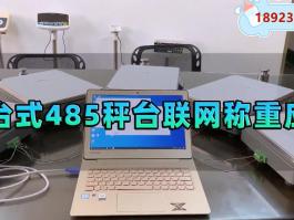 多秤臺(tái)同時(shí)稱重+分類稱重?cái)?shù)據(jù)管理485通訊